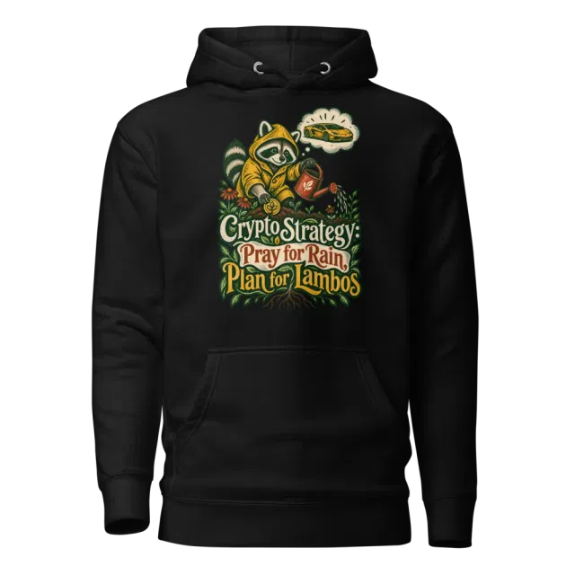 Crypto Strategy: Pray for Rain, Plan for Lambos Hoodie in Black