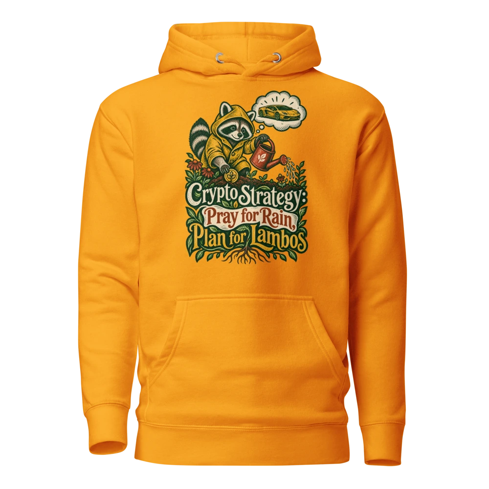 Crypto Strategy: Pray for Rain, Plan for Lambos Hoodie