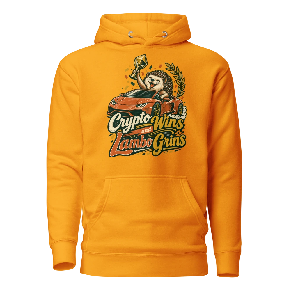 Crypto Wins and Lambo Grins Hoodie