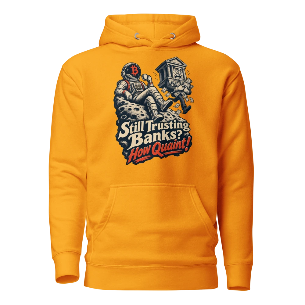 Still Trusting Banks? How Quaint! Hoodie