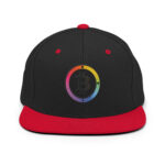 Chromatic Currency Circle Bitcoin Snapback - Image 3