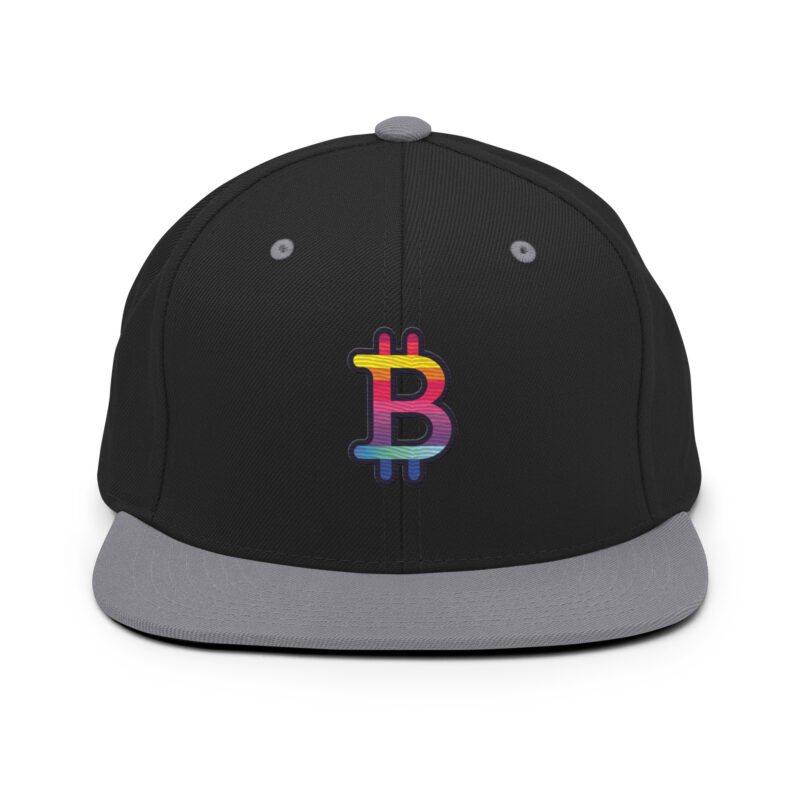classic snapback black silver front 6603285b97c8c