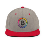 Chromatic Currency Circle Bitcoin Snapback - Image 12