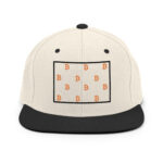 Citrus Circuit BTC Trader's Hat - Image 13