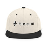 Monochromatic Momentum Snapback Ethereum's Elegant Simplicity - Image 13