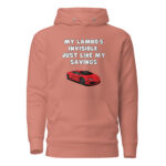 My Lambo's Invisible, Just Like My Savings - Image 4
