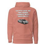 Crypto Gave Me This Hoodie, Lambo's Next (Hopefully) - Image 3