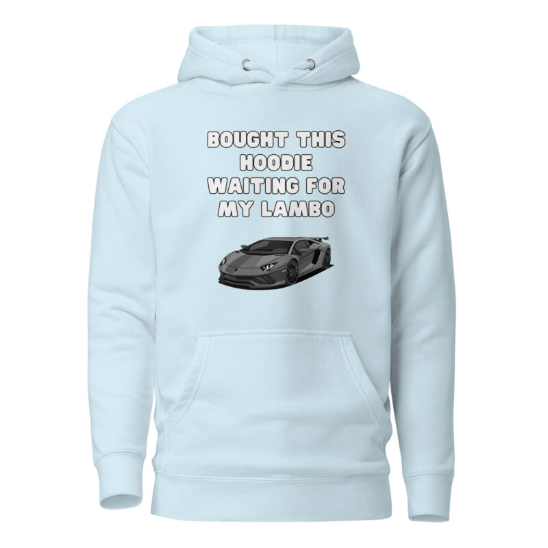 unisex premium hoodie sky blue front 6609b95e3fee0