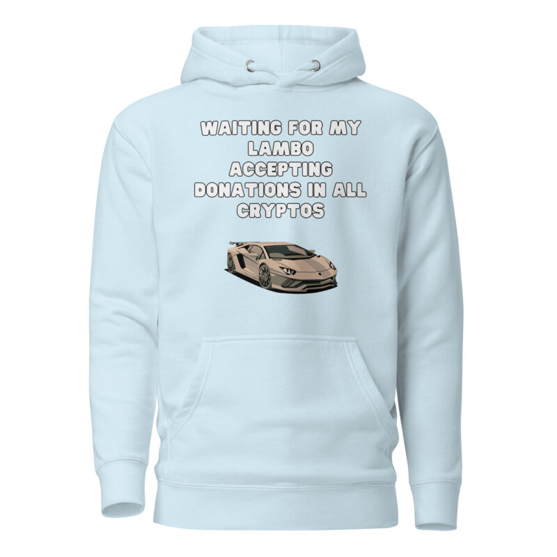 unisex premium hoodie sky blue front 6609c65e7b394