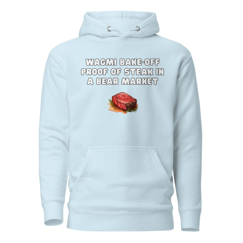 unisex premium hoodie sky blue front 660a03733c746